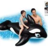 Intex Inflatable Whale Ride On Beach Toy -Outweli Camping Shop TY0662
