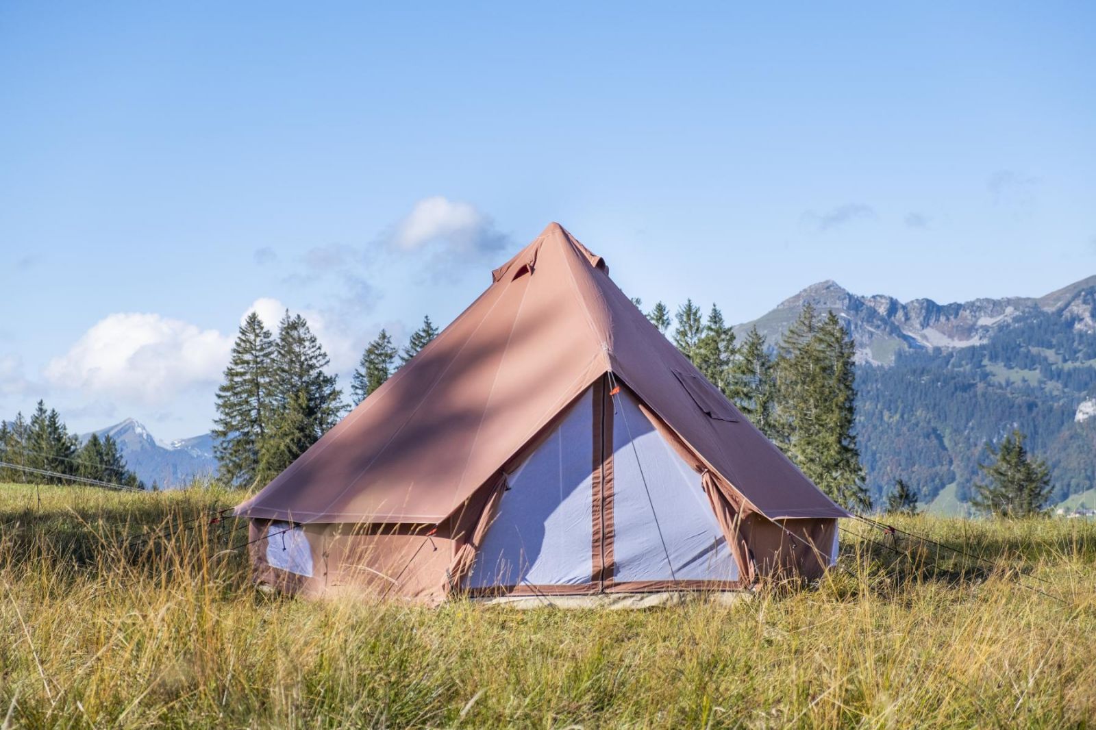 Outweli Camping Shop 2 Outweli Camping Shop -Outweli Camping Shop 9456 1 SPATZ Cotton Exchange Toggenburg 1jpg large